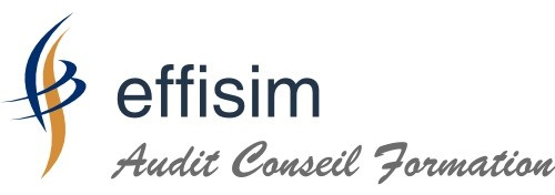 logo Effisim